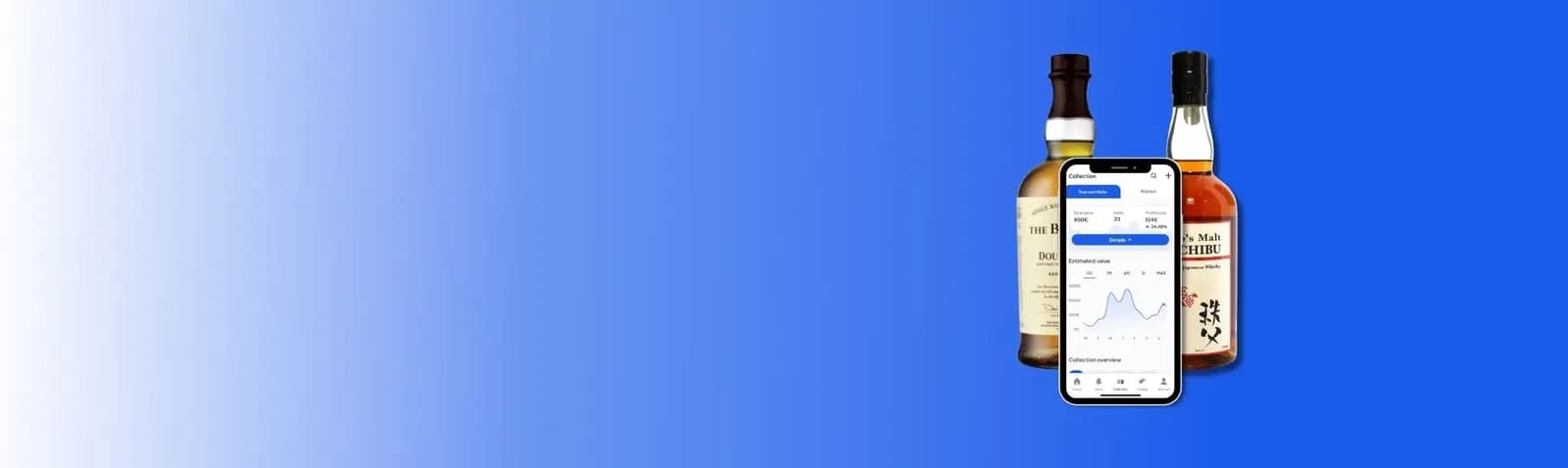 main banner background image